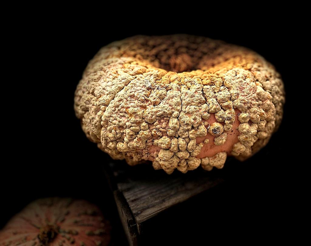 Person comparing laptops and desktops in a tech store