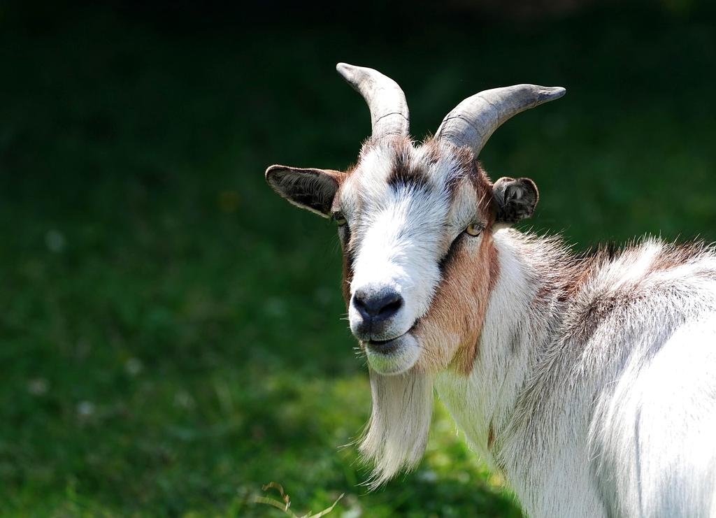 Desktop with advanced cooling system showing liquid cooling tubes and RGB