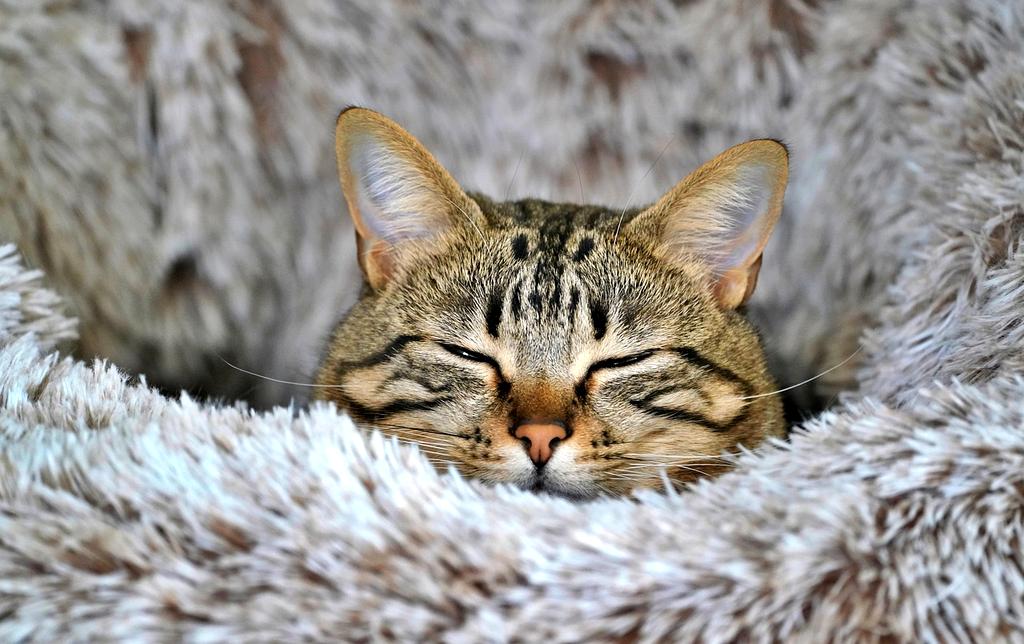 Laptop showcasing quantum-enhanced processor